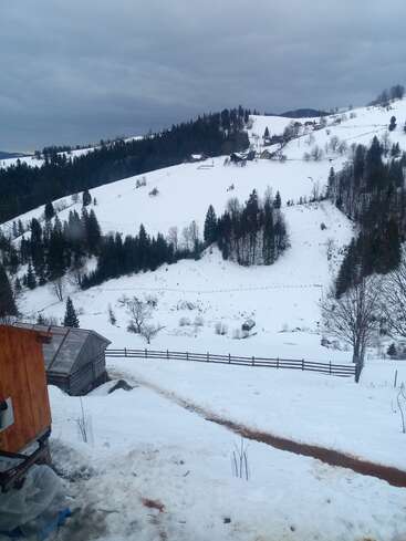 Ein ruhiger, verschneiter Hügel mit Kiefern, Holzhütten und Zäunen unter einem bewölkten Himmel. Die Winterlandschaft wirkt friedlich und unberührt von Menschenmassen.