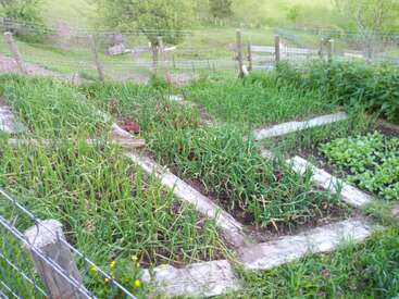 Das Bild zeigt einen eingezäunten Gemüsegarten mit mehreren Hochbeeten. Verschiedene grüne Pflanzen wachsen in Reihen, umgeben von grasbewachsenen Wegen, eingebettet in eine ländliche Landschaft.