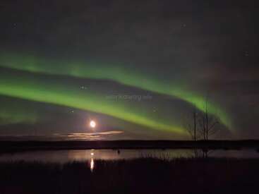 The image shows vibrant green northern lights dancing across a dark night sky, above a calm lake. The moon glows low, reflecting softly in the water.