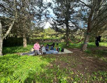 A group of people sit on a picnic blanket in a forest clearing, surrounded by trees. A hammock is tied between trees nearby, bags rest around.