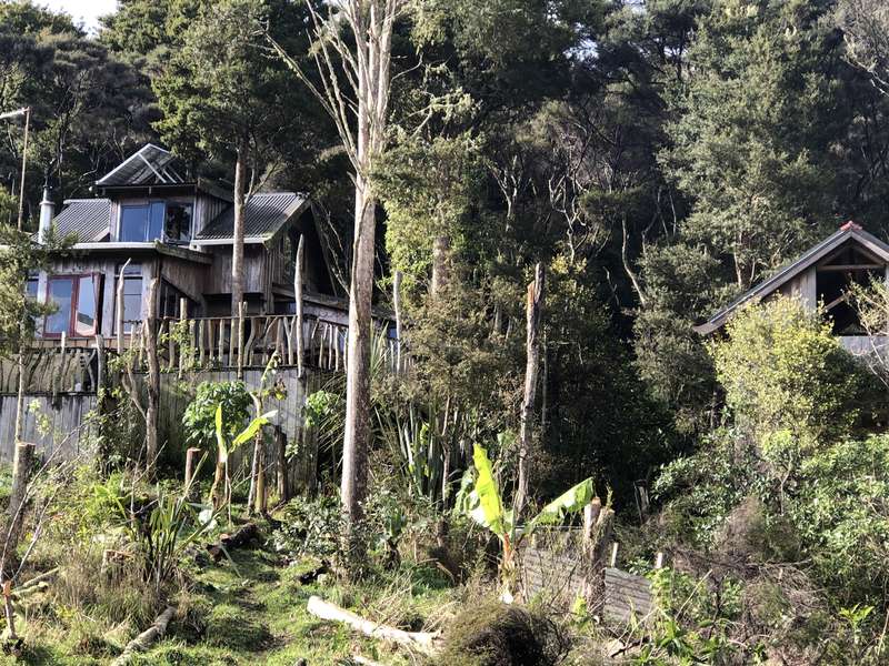 Off the grid and in the groove in Northland, New Zealand