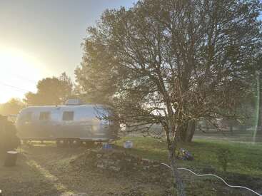 L'image représente une scène sereine d'une caravane argentée située dans une zone herbeuse, entourée d'arbres et d'une bicyclette, avec le soleil brillant en arrière-plan.