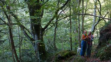 Two people and a white dog stand on a forest trail surrounded by lush green trees and moss, enjoying nature and each other’s company in dappled sunlight.