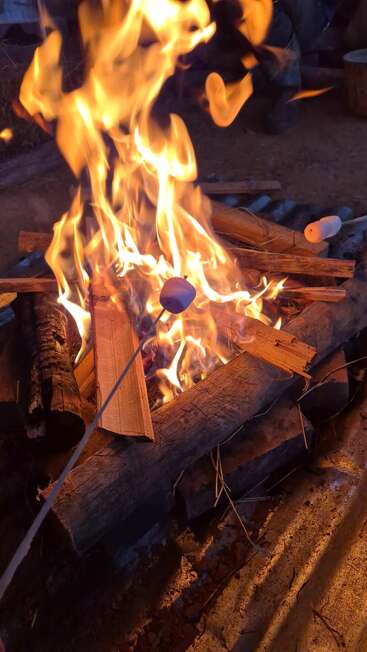 Flammen steigen aus einem Lagerfeuer aus Holzscheiten auf, während Marshmallows auf Stöcken geröstet werden und eine gemütliche Atmosphäre im Freien schaffen, die perfekt zum Entspannen und Genießen von Leckereien ist.