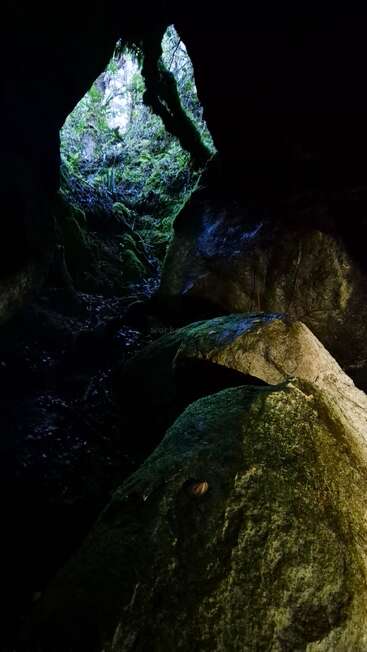 Das Foto zeigt einen Höhleneingang mit moosbewachsenen Felsen. Das Sonnenlicht beleuchtet das Grün draußen und kontrastiert mit der Dunkelheit drinnen. Die Natur gedeiht, indem sie Licht und Schatten wunderschön vermischt.