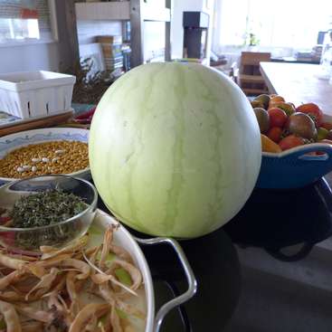 A imagem mostra uma bancada de cozinha com uma melancia, tomates e vários ingredientes, sugerindo uma atividade culinária em andamento.