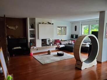 A cozy living room with wooden floors, a modern fireplace, a circular cat exercise wheel, a corner sofa, large windows, art, books, and relaxing vibes.