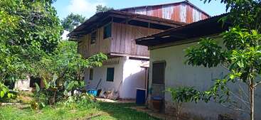 A rustic, two-story house with wooden upper walls and a metal roof stands amidst lush green plants and trees, surrounded by grass and shaded by sunlight.