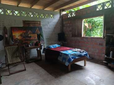 This rustic room features a single bed with blue bedding, an open window, a wooden chair, a painting, potted plants, and natural light filtering in.