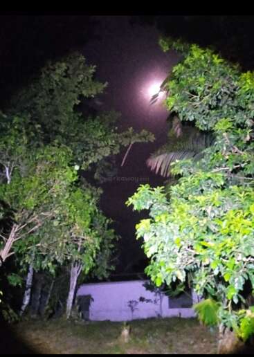 Uma cena noturna com árvores verdes brilhantes iluminadas por luz artificial, um prédio branco ao fundo e uma lua brilhante iluminando o céu escuro acima.