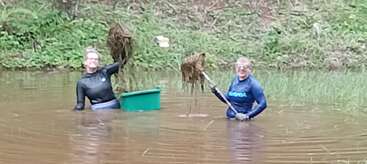 Two people standing in muddy water, wearing wetsuits and goggles, smiling while holding clumps of aquatic plants. A green container and some vegetation are also visible.