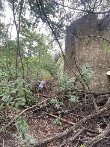 Una persona vestida con pantalones cortos y camiseta camina con cuidado por un bosque denso y cubierto de maleza. Las ramas caídas y la espesa vegetación rodean una vieja y musgosa estructura de hormigón cercana.