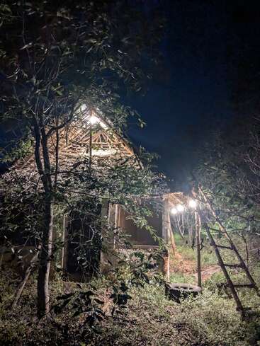 Uma cabana de madeira rústica iluminada por luzes quentes fica tranquilamente em uma floresta à noite, cercada por folhagem densa e vegetação natural, criando uma atmosfera pacífica.