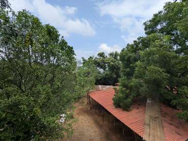 Esta imagem mostra uma paisagem verde exuberante com muitas árvores ao redor de edifícios com telhados vermelhos. O céu é azul com nuvens espalhadas acima.