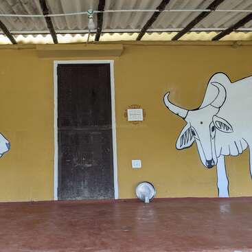 Uma parede amarela rústica com uma porta de madeira preta apresenta um mural de uma vaca branca. Há interruptores elétricos e uma placa de metal no chão.