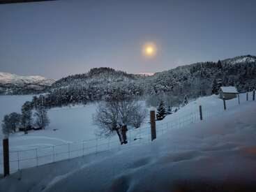 Eine heitere Winterlandschaft mit schneebedeckten Bäumen, Hügeln und einem Zaun. Der Mond scheint hell am Abendhimmel und wirft ein friedliches, kaltes Licht auf die Landschaft.