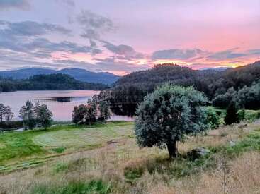 Eine ruhige Szene mit einer üppigen grünen Wiese, einem Baum, einem ruhigen See, bewaldeten Hügeln und einem farbenfrohen Sonnenuntergang, der sich auf dem Wasser spiegelt.