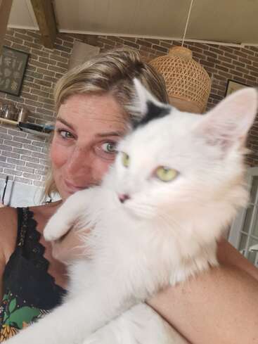 A imagem mostra uma mulher segurando um gato branco com olhos verdes, em frente a uma parede de tijolos com uma luminária e várias decorações.