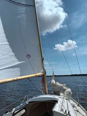 A sailboat glides on calm water under a bright blue sky with scattered clouds, its white sail catching the breeze, creating a peaceful and serene scene.
