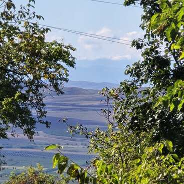 Árboles verdes y frondosos enmarcan una pintoresca vista de colinas onduladas y montañas lejanas bajo un cielo azul, con algunas líneas eléctricas cruzando por encima. Un paisaje apacible.