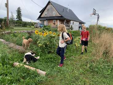 Two children walk through green grass near blooming sunflowers and a rustic house. Two dogs play nearby. A basketball hoop and cloudy sky complete the scene.