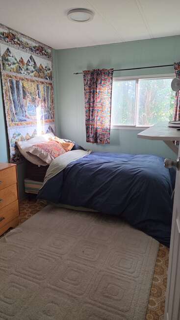 This cozy bedroom features a single bed with blue bedding, colorful curtains, a woodland tapestry, wooden drawers, light green walls, and a large beige rug.