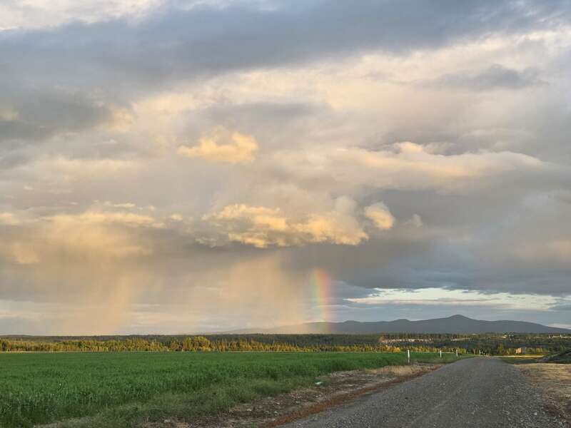 A gravel road stretches beside green fields under a dramatic sky. Light rain falls in the distance, with sunlight illuminating a faint, colorful rainbow. Peaceful countryside scene.