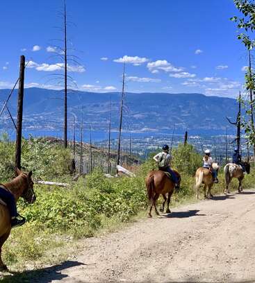 Quatre personnes se promènent à cheval sur un chemin de terre dans une région montagneuse pittoresque. Des arbres clairsemés, une végétation luxuriante, un ciel bleu et un lac sont visibles en contrebas.