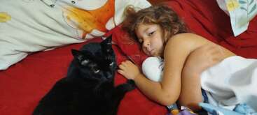 Un jeune enfant aux cheveux ébouriffés est allongé dans son lit sous une couverture blanche, câlinant doucement un jouet en peluche à côté d'un chat noir calme sur des draps rouges.