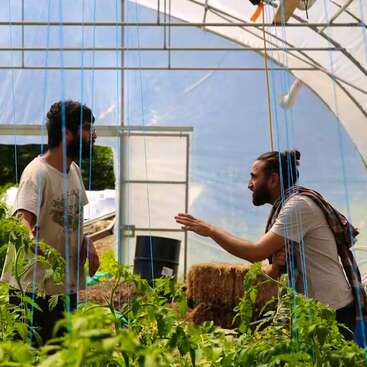 Dois homens estão tendo uma conversa animada dentro de uma estufa, cercados por plantas verdes e cordas azuis, com a luz do sol sendo filtrada pela estrutura translúcida.