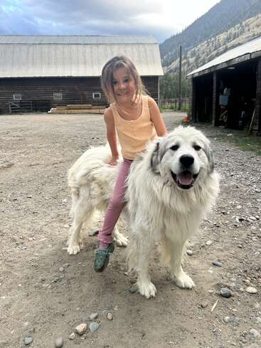 Une jeune fille souriante, habillée de façon décontractée, est assise avec bonheur sur un gros chien blanc en peluche, en plein air, avec des granges, des montagnes et un ciel nuageux en arrière-plan.