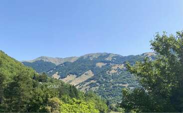 Uma vista panorâmica de montanhas verdes cobertas de árvores sob um céu azul claro. Folhagem densa em primeiro plano, com uma casa pouco visível entre as árvores. Paisagem tranquila.