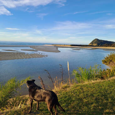 Un perro negro se alza sobre una colina cubierta de hierba que domina un río sereno con bancos de arena, arbustos verdes, cielo azul y una montaña lejana bañada por la luz del sol.