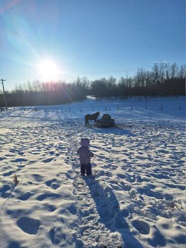 A child in winter clothing stands in deep snow, facing a horse near a hay feeder. The bright sun casts long shadows over the snowy landscape.