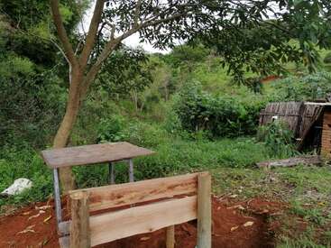 A rustic wooden bench and table sit under a tree, in a lush, green outdoor setting with dense vegetation and a small wooden shed in the background.