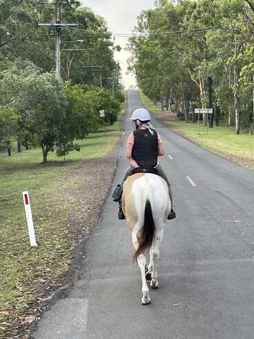 A person wearing a helmet and vest rides a white and brown horse down a quiet, tree-lined country road, heading toward the horizon under cloudy skies.