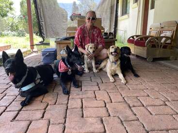 A woman in sunglasses sits on a patio surrounded by five happy dogs of different breeds, enjoying a sunny day together in a cozy outdoor setting.