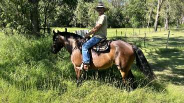 A man wearing a hat, sunglasses, a beige shirt, and jeans rides a brown horse through tall green grass in a sunny, wooded countryside.