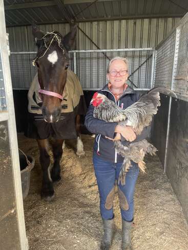 A smiling woman stands in a stable, holding a large rooster. A horse with a heart-shaped marking on its forehead stands behind her, wearing a blanket.