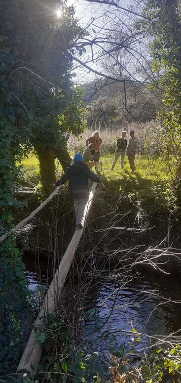 Une personne marche en équilibre sur un pont en rondins de bois qui enjambe un ruisseau, tandis que plusieurs autres l'observent et attendent sur la rive opposée, dans une forêt baignée de soleil.