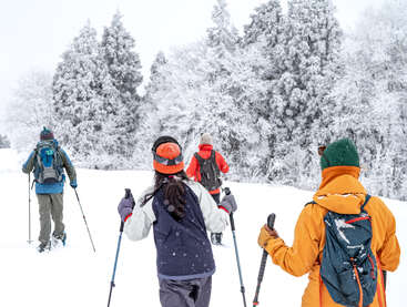 Vier Menschen, die in Winterkleidung und mit Rucksäcken bepackt durch einen verschneiten Wald wandern, genießen die malerische Winterlandschaft mit schneebedeckten Bäumen und der klaren, frischen Luft.