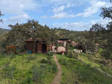 Una cabaña rústica de madera rodeada de exuberante vegetación y árboles, con un caballo marrón pastando cerca. Un camino de tierra conduce a la tranquila granja.