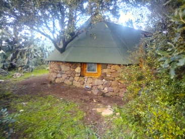 La imagen representa un pequeño edificio de piedra con tejado verde, con una ventana y rodeado de árboles y arbustos, en un entorno sereno al aire libre.