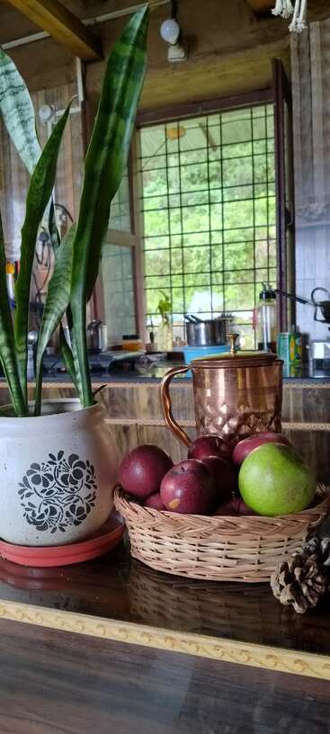 Una acogedora escena de cocina con una planta de serpiente en maceta, una jarra de cobre, una cesta de manzanas, una fruta verde y una piña sobre una encimera de madera.