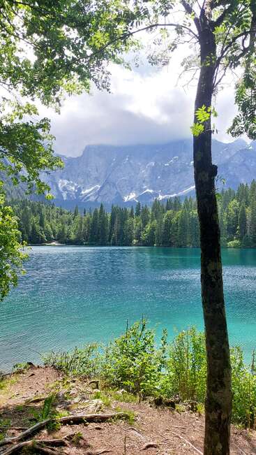 Ein ruhiger, türkisfarbener See, gesäumt von üppig grünen Bäumen. Im Hintergrund erheben sich schneebedeckte Berge, die teilweise von Wolken verdeckt werden. Das Sonnenlicht fällt durch das Blätterdach.