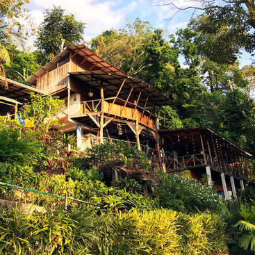 La imagen representa una gran casa de madera situada en la ladera de una colina, rodeada de exuberante vegetación y árboles, con un ambiente sereno y natural.