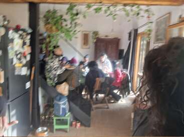 Un grupo de personas se reúne alrededor de una mesa en una habitación acogedora e iluminada por el sol. Del techo cuelgan plantas verdes que crean un ambiente cálido y acogedor.