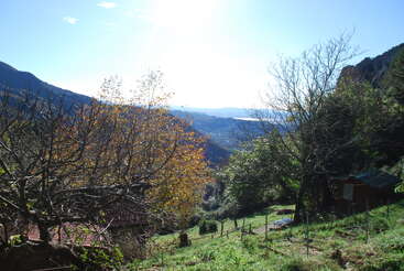 A beautiful hillside landscape bathed in sunlight, with green grass, trees showing autumn leaves, a small shed, mountain ranges, and a distant shimmering lake. Peaceful countryside.