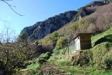 Un rústico cobertizo de madera se alza en una ladera cubierta de hierba, rodeado de frondosos árboles verdes, bajo un cielo azul despejado, con majestuosas montañas rocosas que se elevan detrás.