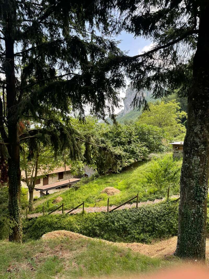 Tall trees frame a serene scene with lush greenery, a rustic wooden building, a sloping path, and distant mountains under a partly cloudy blue sky. Peaceful nature.